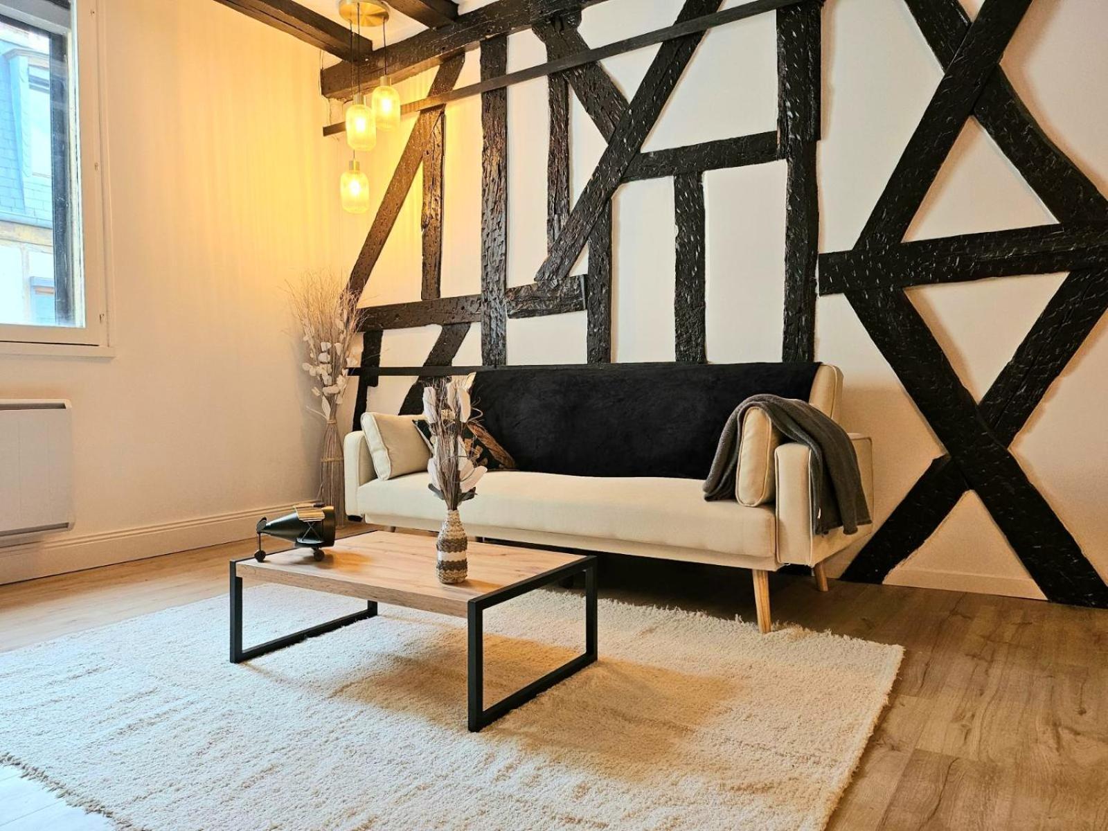 La Dame Blanche - Appartement Hypercentre Historique Bourges Dış mekan fotoğraf